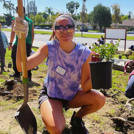 group of people planting a tree